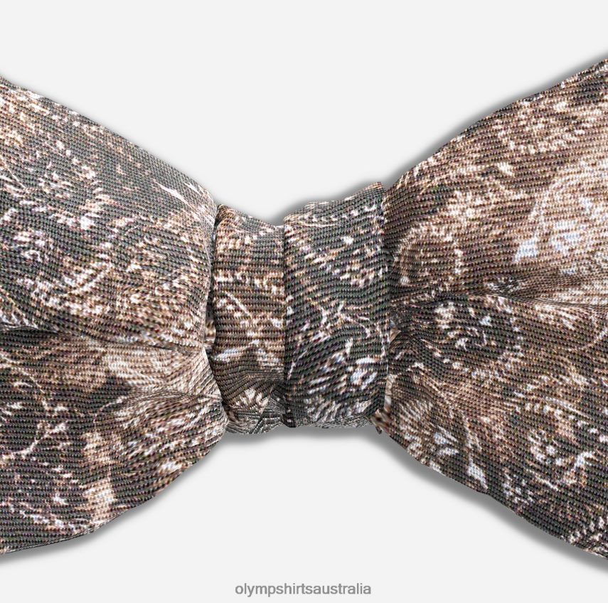 Accessories AU OLYMP Bow Tie Regular 5,5 Cm, Brown T8882J2503