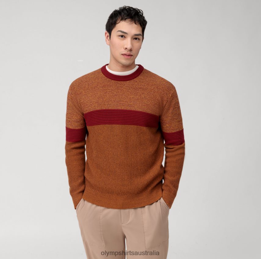Clothing AU OLYMP Casual Knitwear Pullover, Barolo T8882J1771