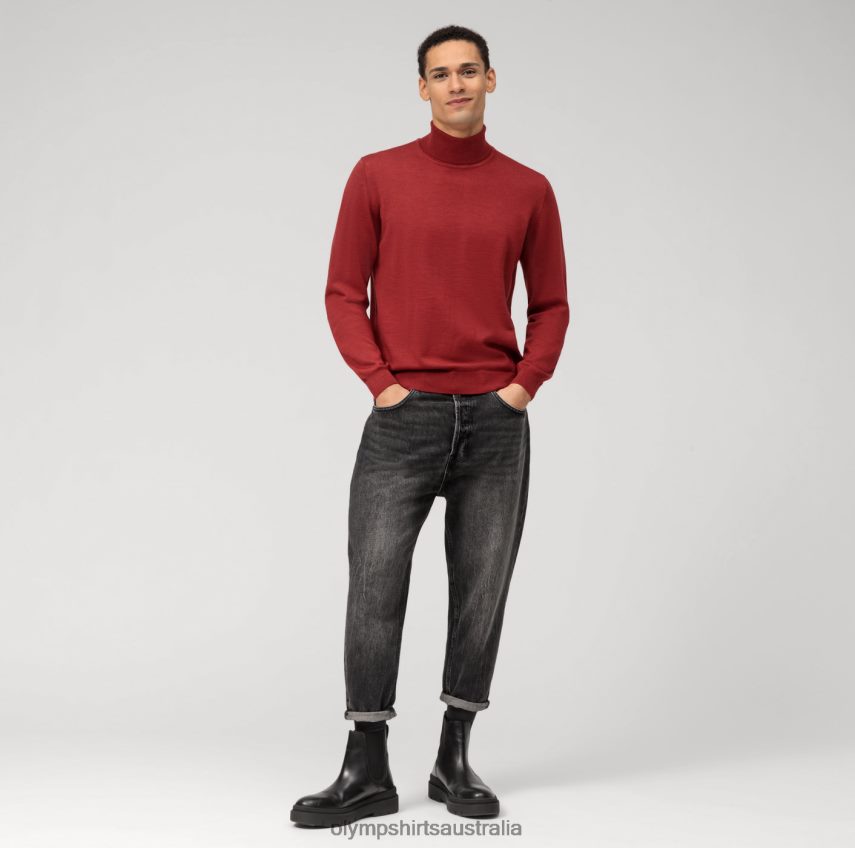 Clothing AU OLYMP Casual Knitwear Turtleneck, Barolo T8882J1883