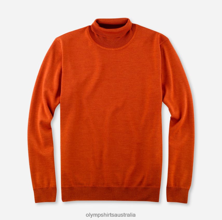 Clothing AU OLYMP Casual Knitwear Turtleneck, Rust T8882J1902